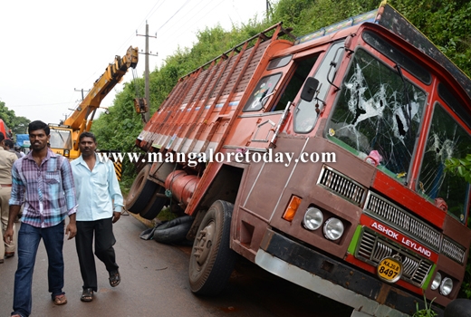 transporting cattle 1